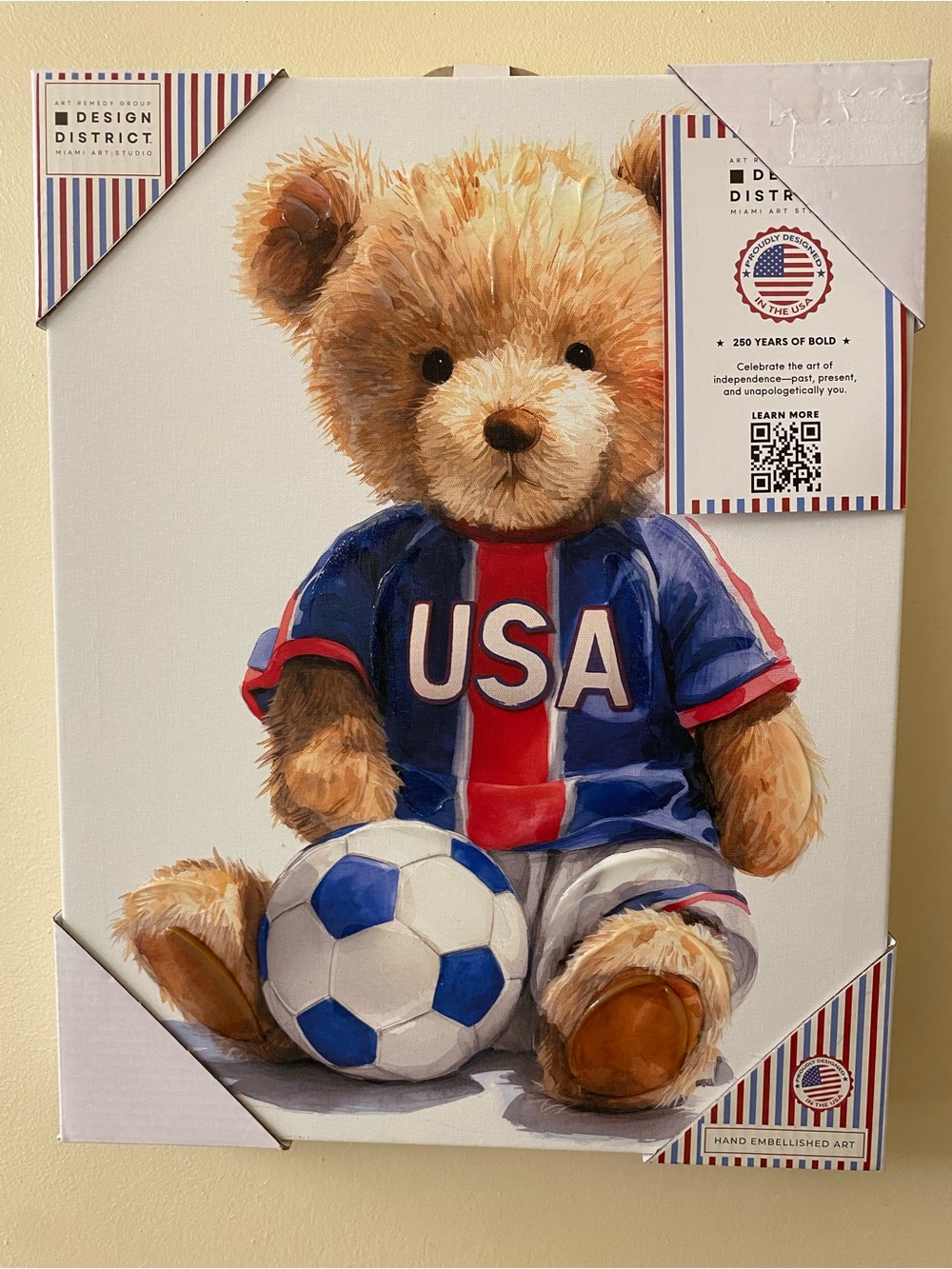 USA Soccer Teddy Bear Wall Canvas Artwork Picture Hand Embellished Studio 14x11